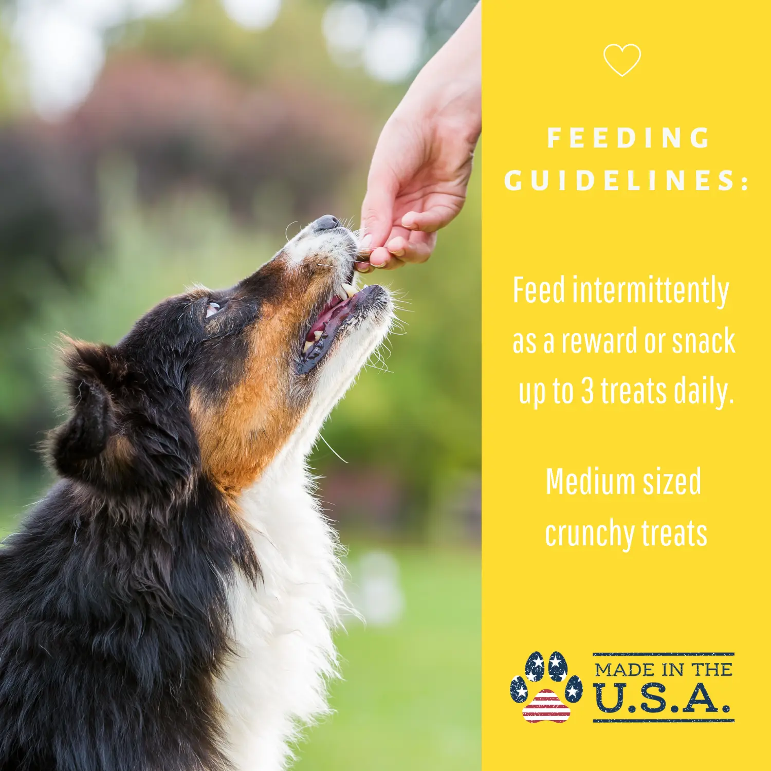 Dog Mamma's Organic Peanut Butter Banana Recipe - USDA Organic Certified Dog Treats Dog Mamma's Organic Dog Treats