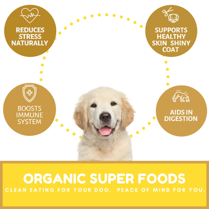 Dog Mamma's Organic Peanut Butter Banana Recipe - USDA Organic Certified Dog Treats Dog Mamma's Organic Dog Treats