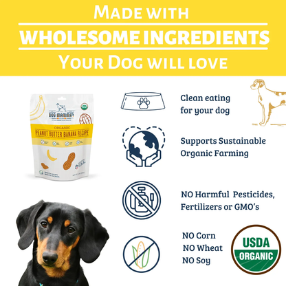 Dog Mamma's Organic Peanut Butter Banana Recipe - USDA Organic Certified Dog Treats Dog Mamma's Organic Dog Treats