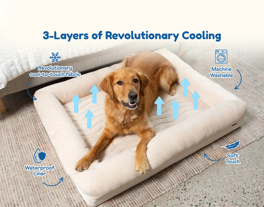 PupChill™ Cooling 4-Bolster Dog Bed - Arctic Sand Paw.com