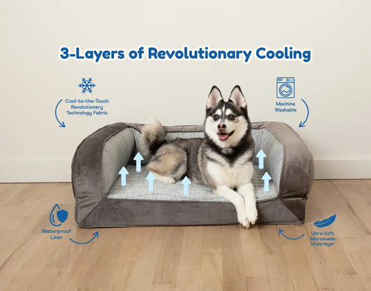 PupChill™ Cooling Bolster Dog Bed Paw.com