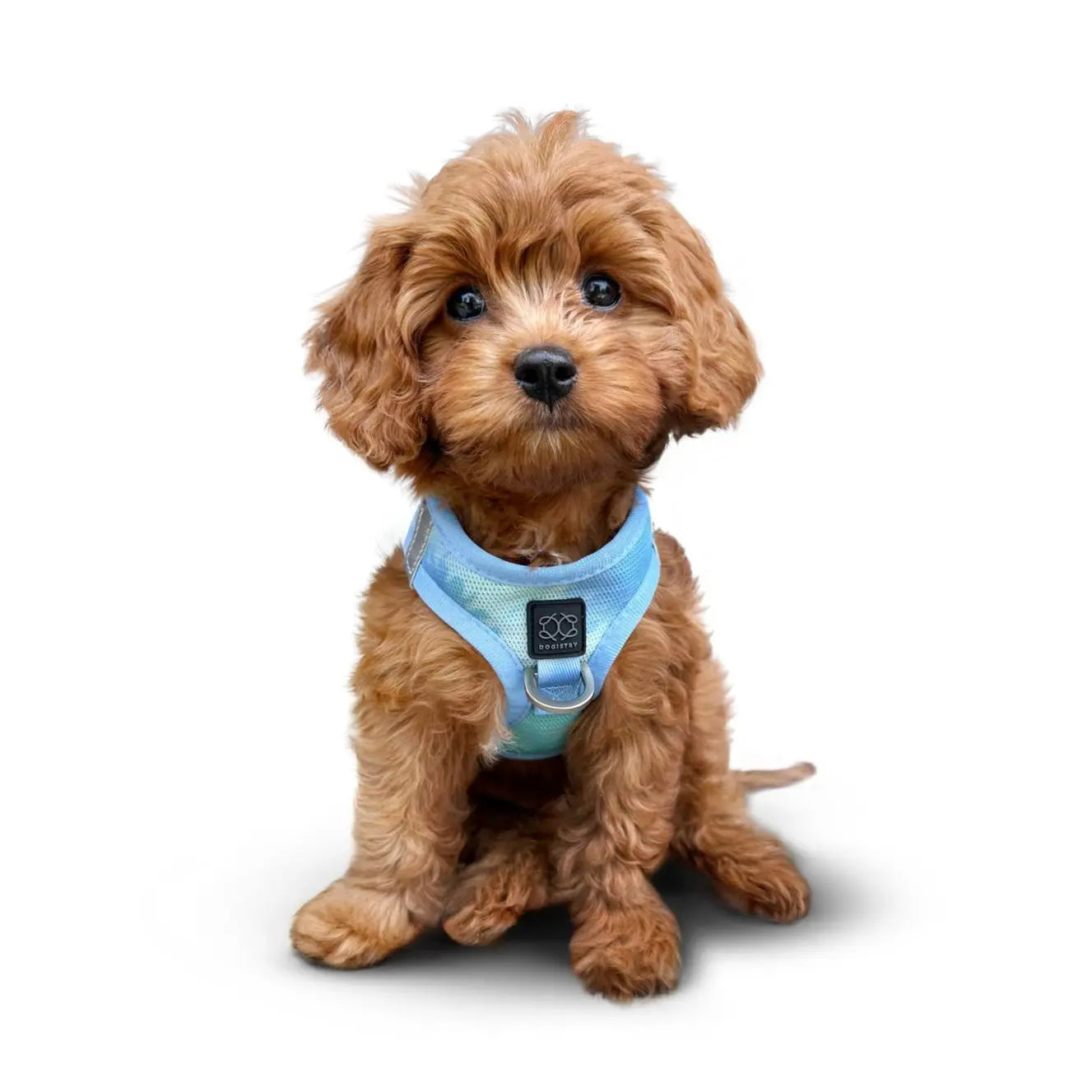 Summer AIR Harness - Ocean - K9 Outdoors