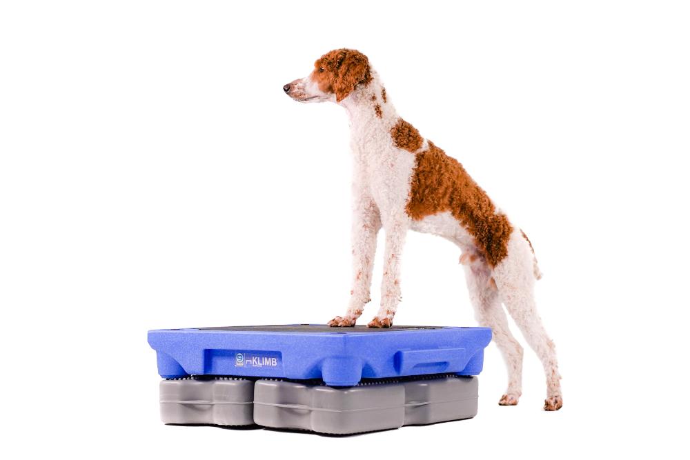 Propel Air Platform Blue-9 Pet Products