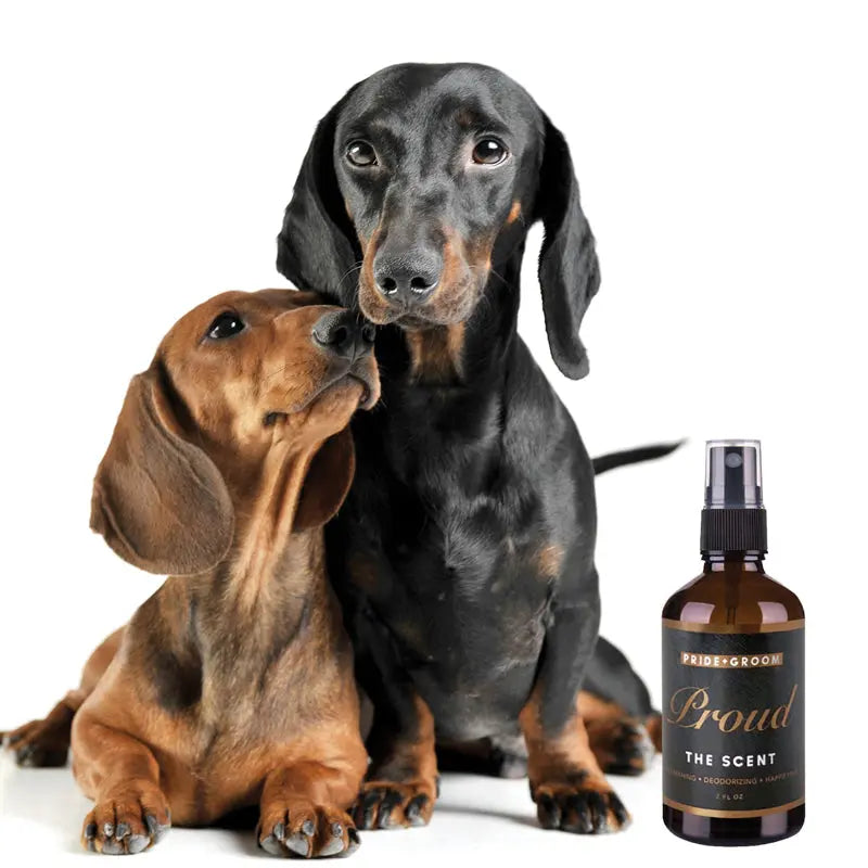 PROUD Dog & Cat Perfume Spray — Natural Deodorizing Pet Cologne with Bergamot & Citrus - K9 Outdoors