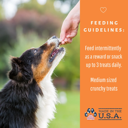 Dog Mamma's Organic Pumpkin Snaps Recipe- USDA Organic Certified Dog Treats Dog Mamma's Organic Dog Treats