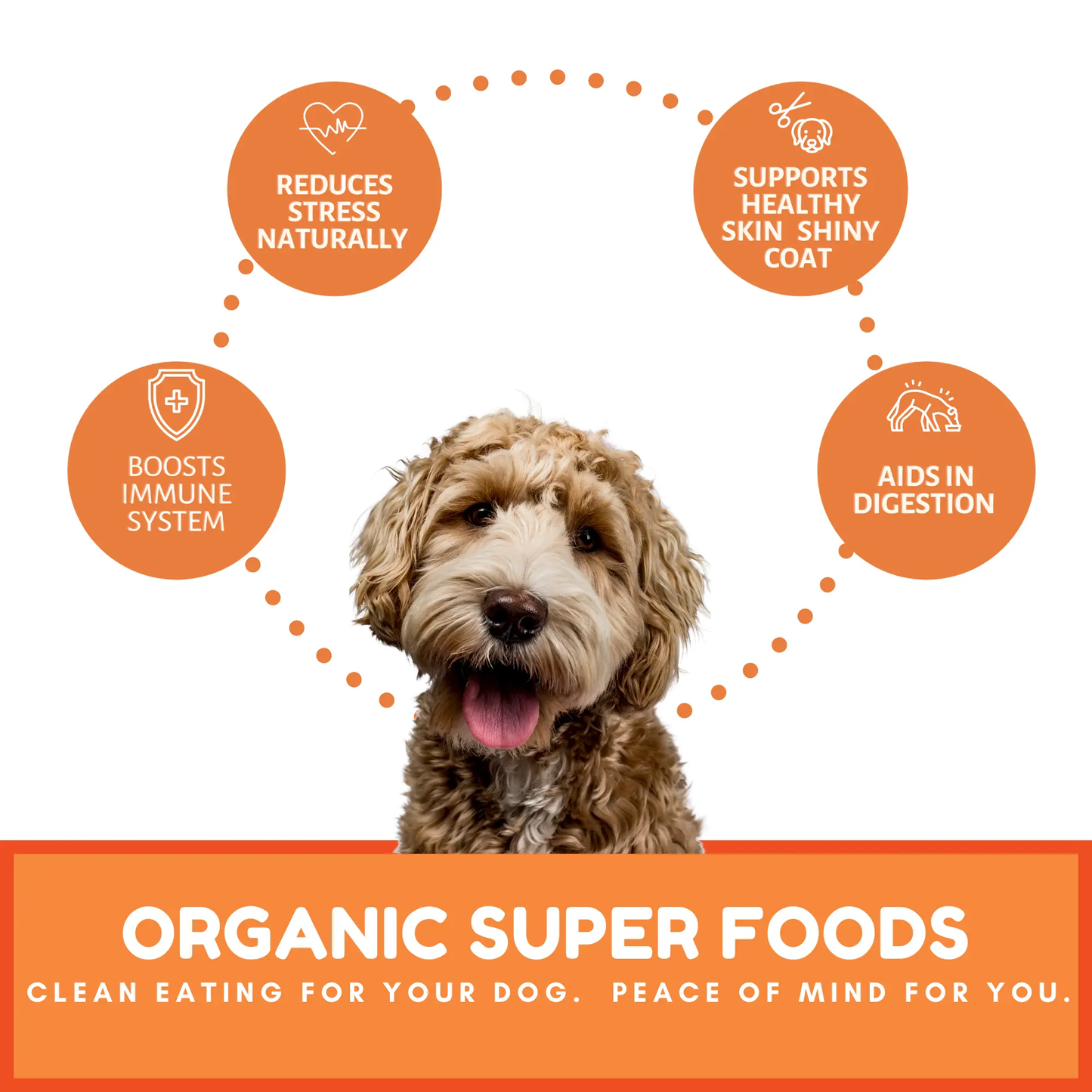 Dog Mamma's Organic Pumpkin Snaps Recipe- USDA Organic Certified Dog Treats Dog Mamma's Organic Dog Treats