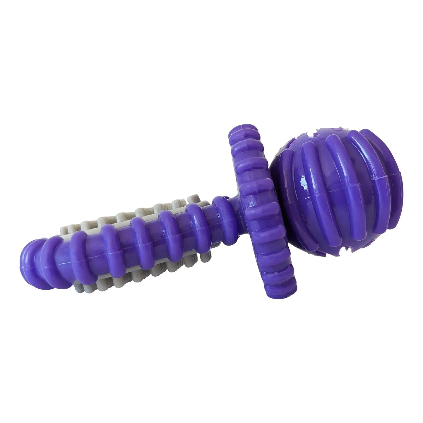 Purple Rubber Dental Pacifier Dog Toy – Ridges, Treat Hole & Durable Design American Pet Supplies