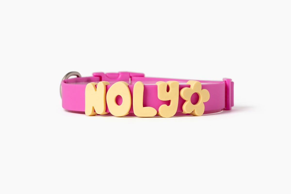 Waterproof Dog Collar