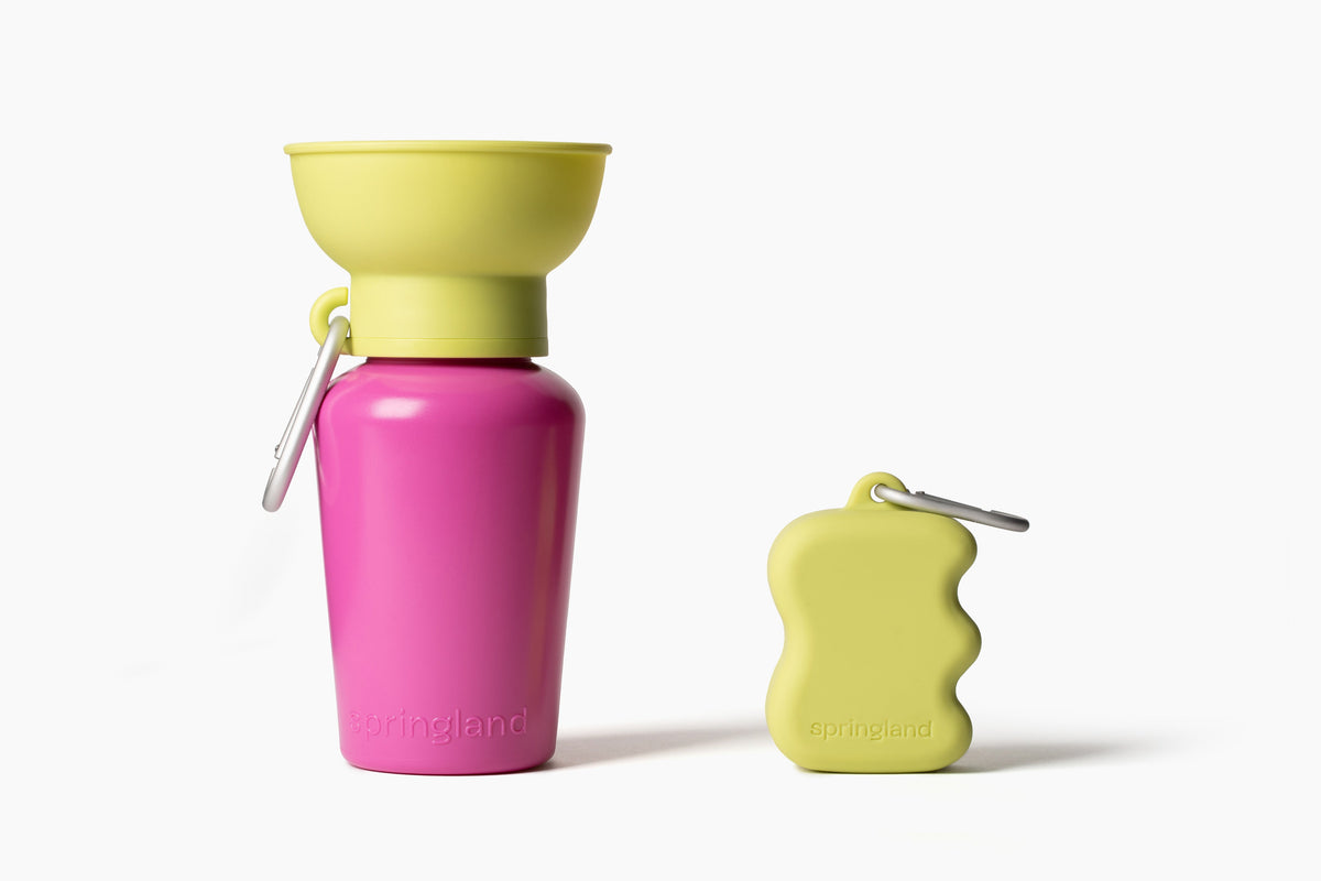 Silicone Dog Treat Dispenser