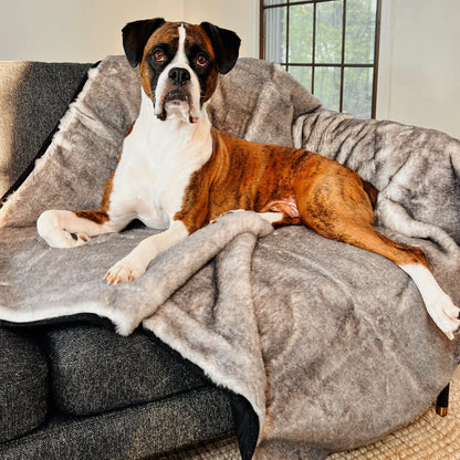PupProtector™ Luxe Waterproof Faux Fur Blanket - Ultra Soft Chinchilla Paw.com
