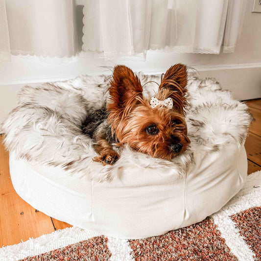 PupPouf™ Faux Fur Donut Dog Bed - White with Brown Accents Paw.com