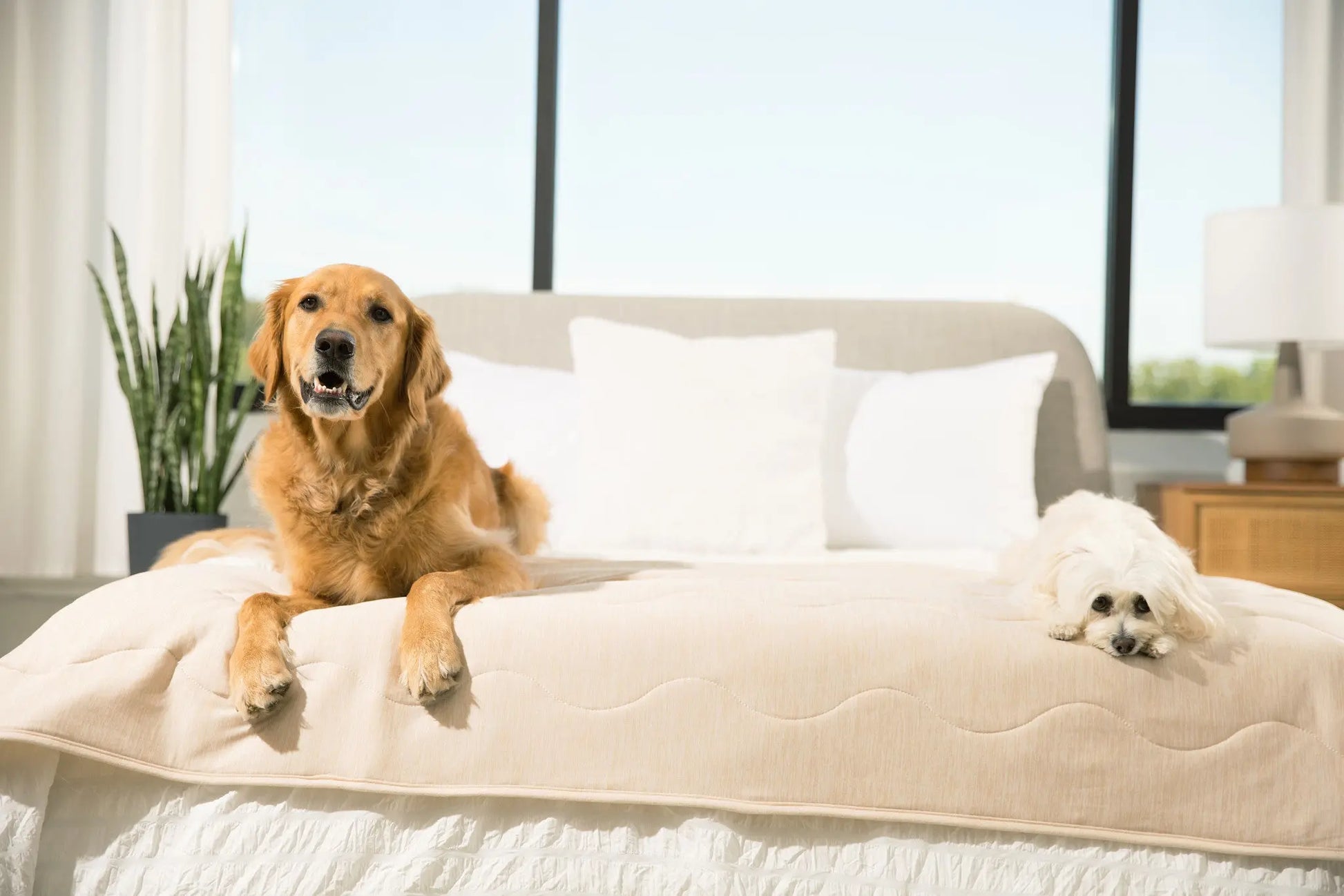PupChill™ Cooling Waterproof Runner Blanket - Arctic Sand Paw.com
