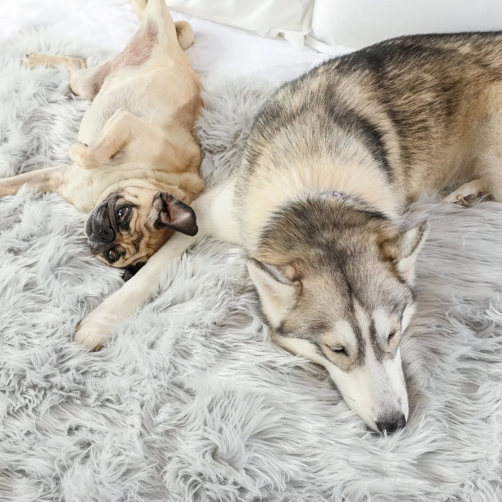PupProtector™ Waterproof Throw Blanket - Grey Paw.com