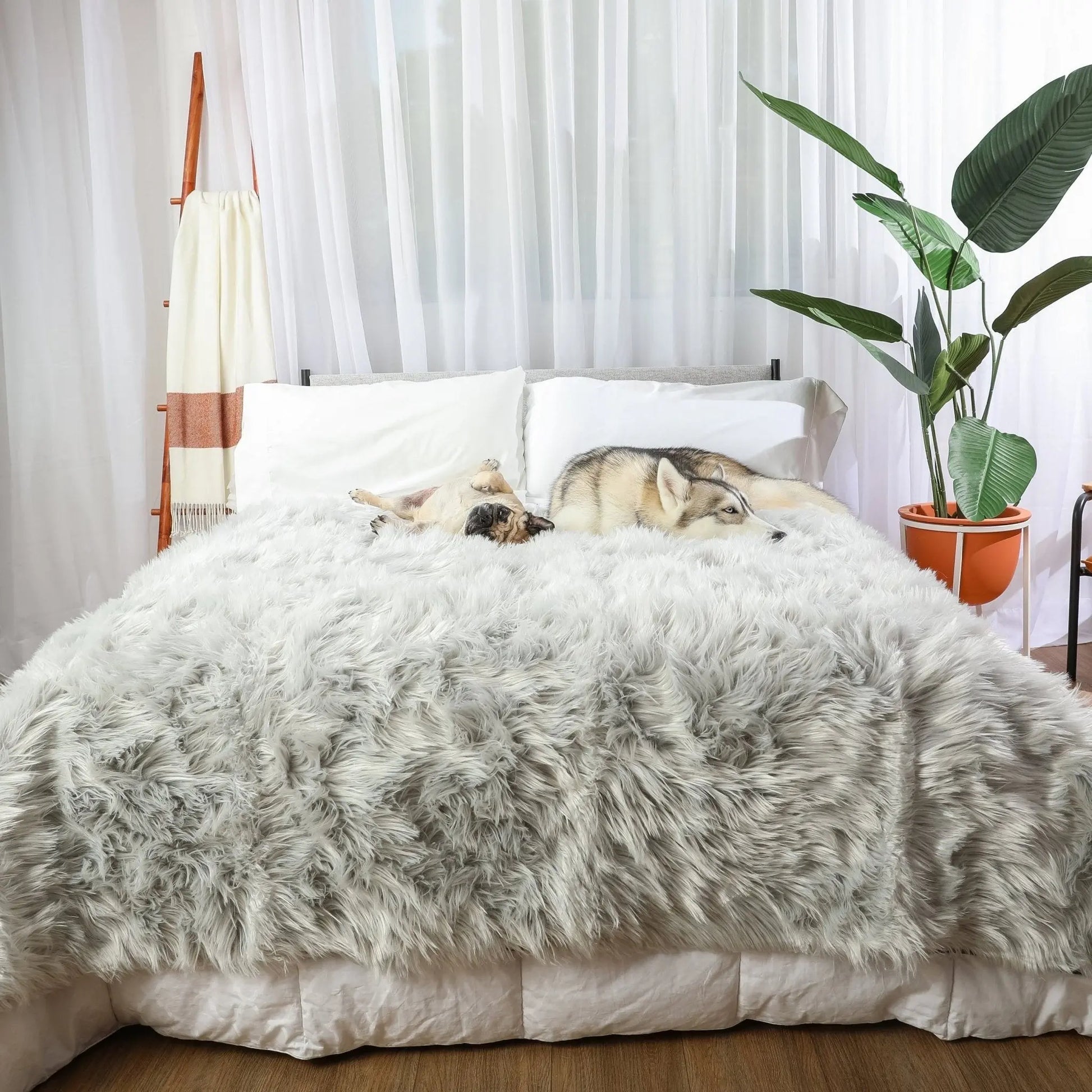 PupProtector™ Waterproof Throw Blanket - Grey Paw.com