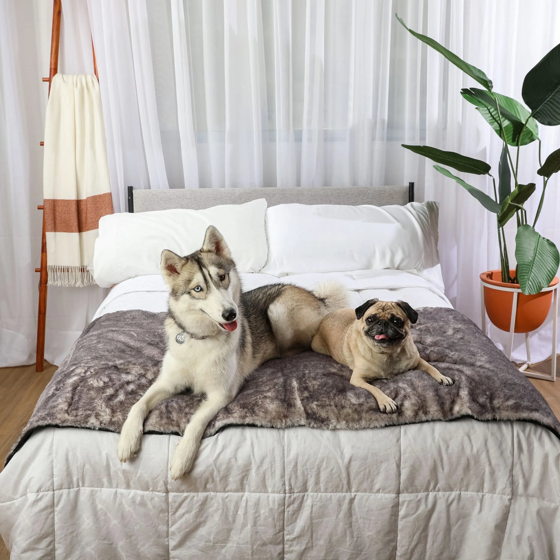 PupProtector™ Luxe Waterproof Bed Runner - Ultra Soft Chinchilla Paw.com