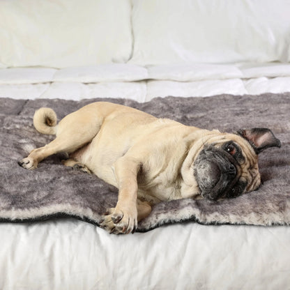 PupProtector™ Luxe Waterproof Bed Runner - Ultra Soft Chinchilla Paw.com
