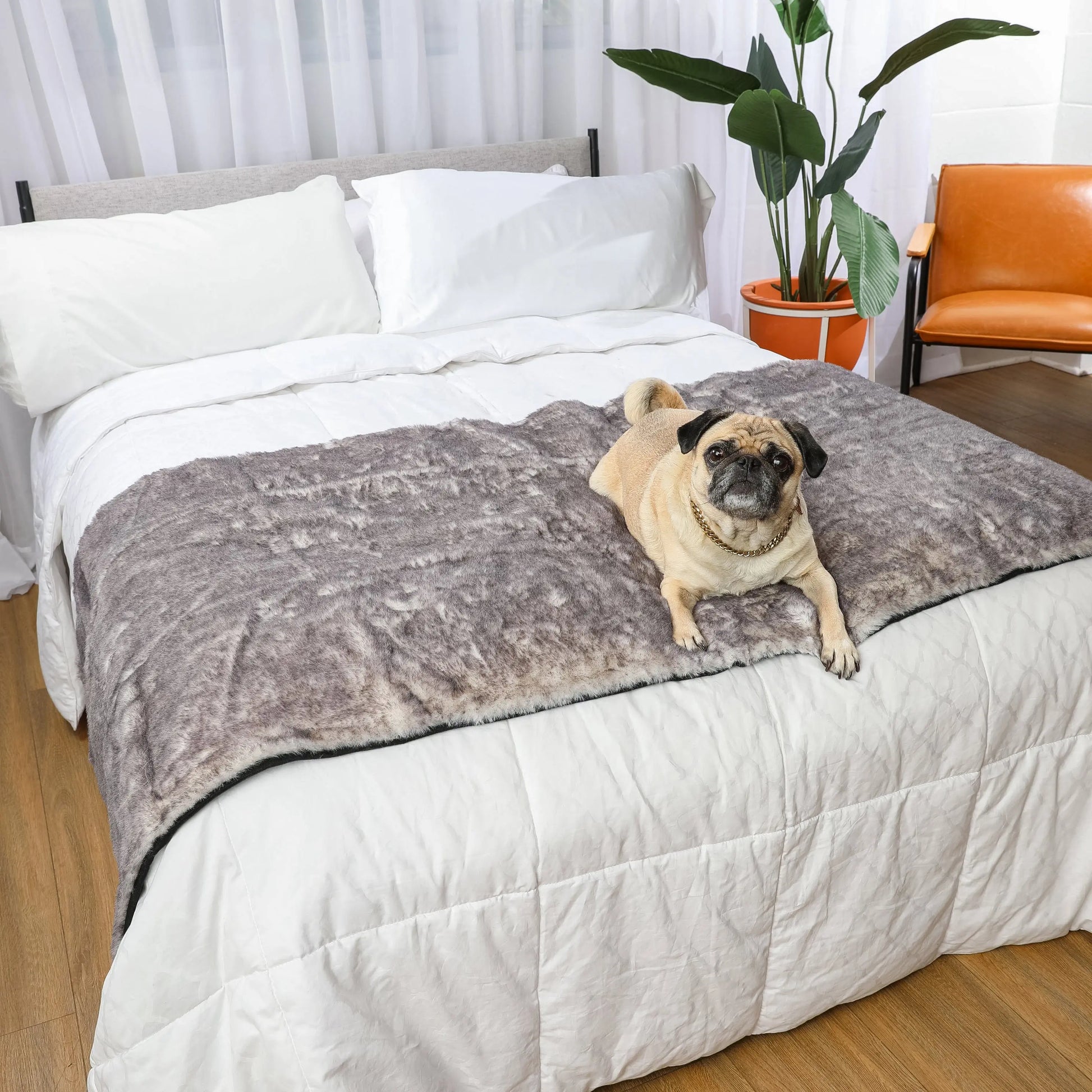 PupProtector™ Luxe Waterproof Bed Runner - Ultra Soft Chinchilla Paw.com