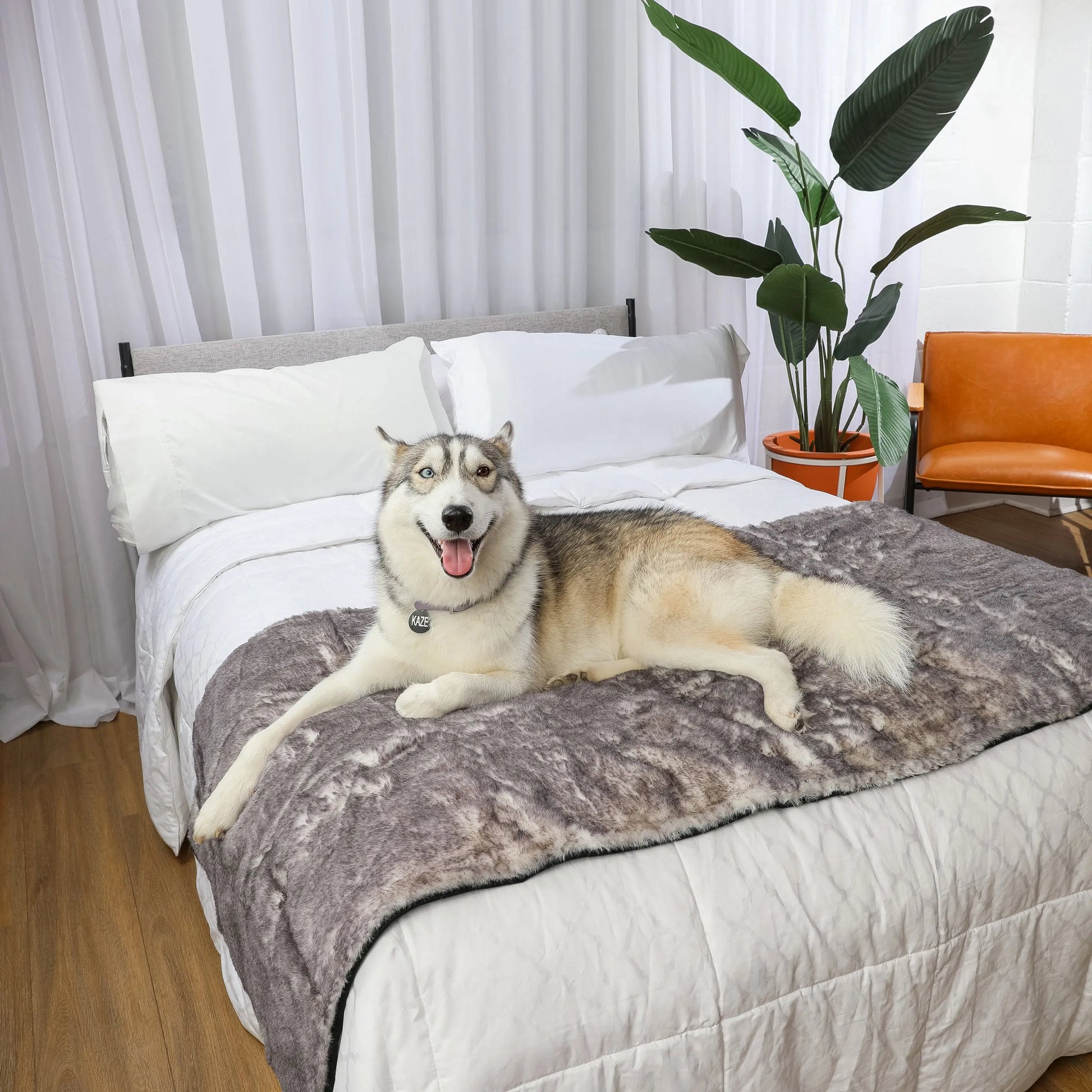 PupProtector™ Luxe Waterproof Bed Runner - Ultra Soft Chinchilla Paw.com