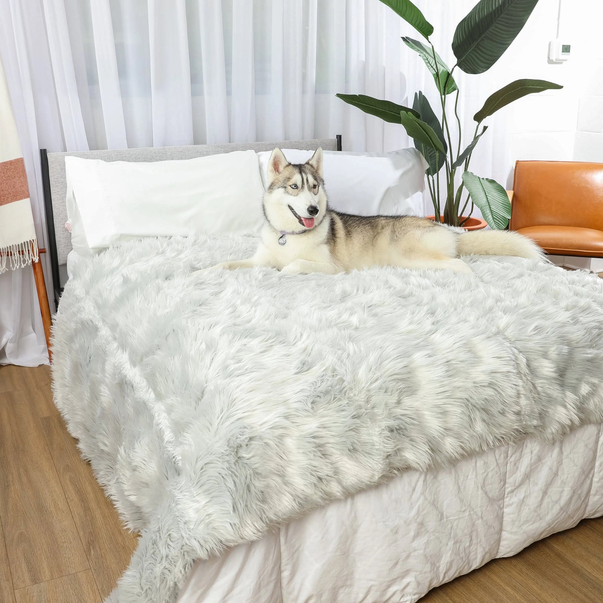 PupProtector™ Waterproof Throw Blanket - Grey Paw.com
