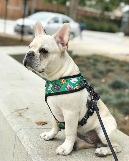Teacher's Pet Reversible Harness Pawmigo