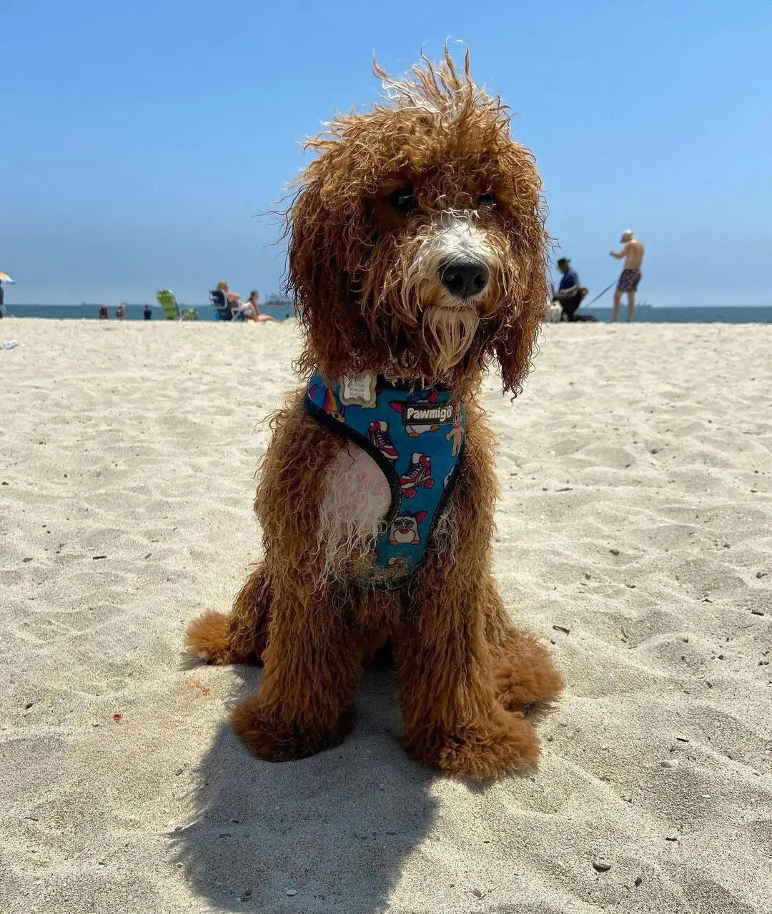 90s Baby Reversible Harness Pawmigo