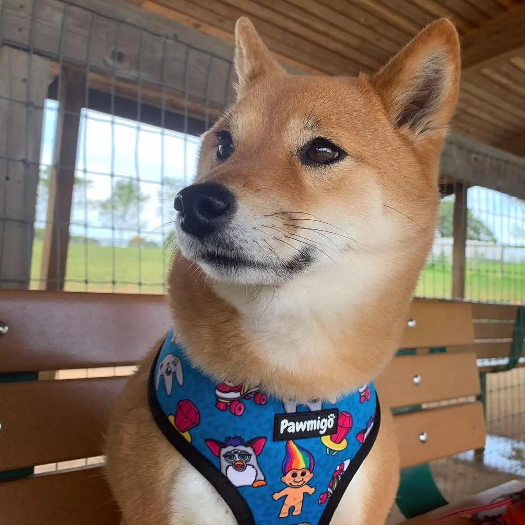 90s Baby Reversible Harness Pawmigo