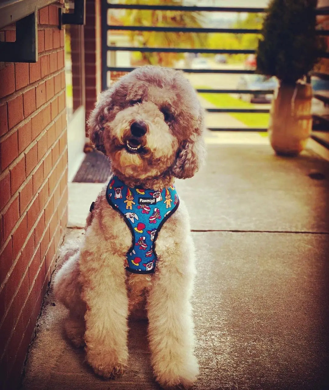 90s Baby Reversible Harness Pawmigo