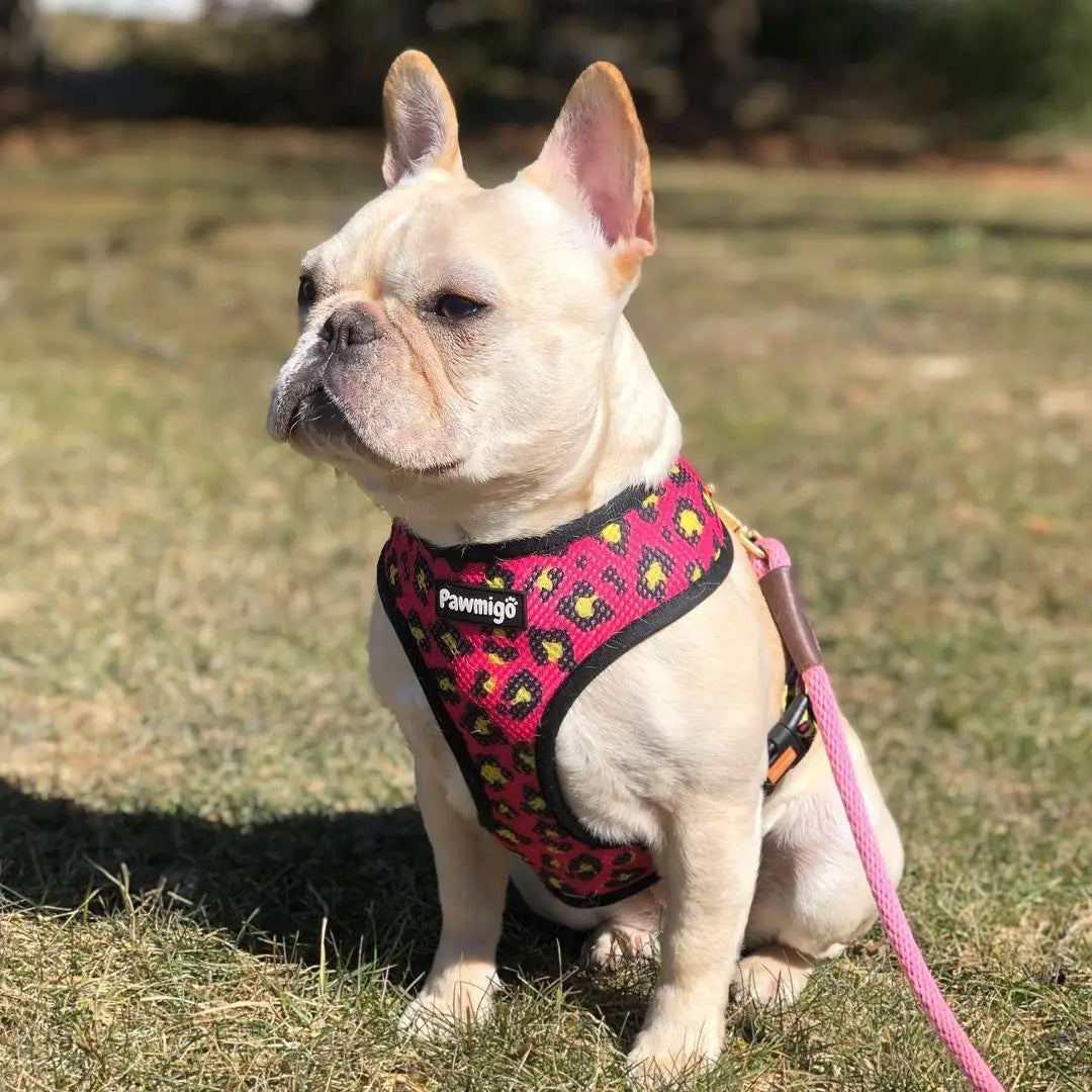 90s Baby Reversible Harness Pawmigo