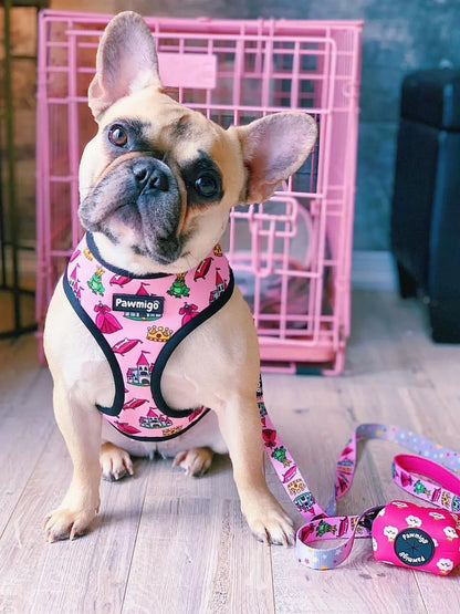 Fairytail Leash Kit Pawmigo