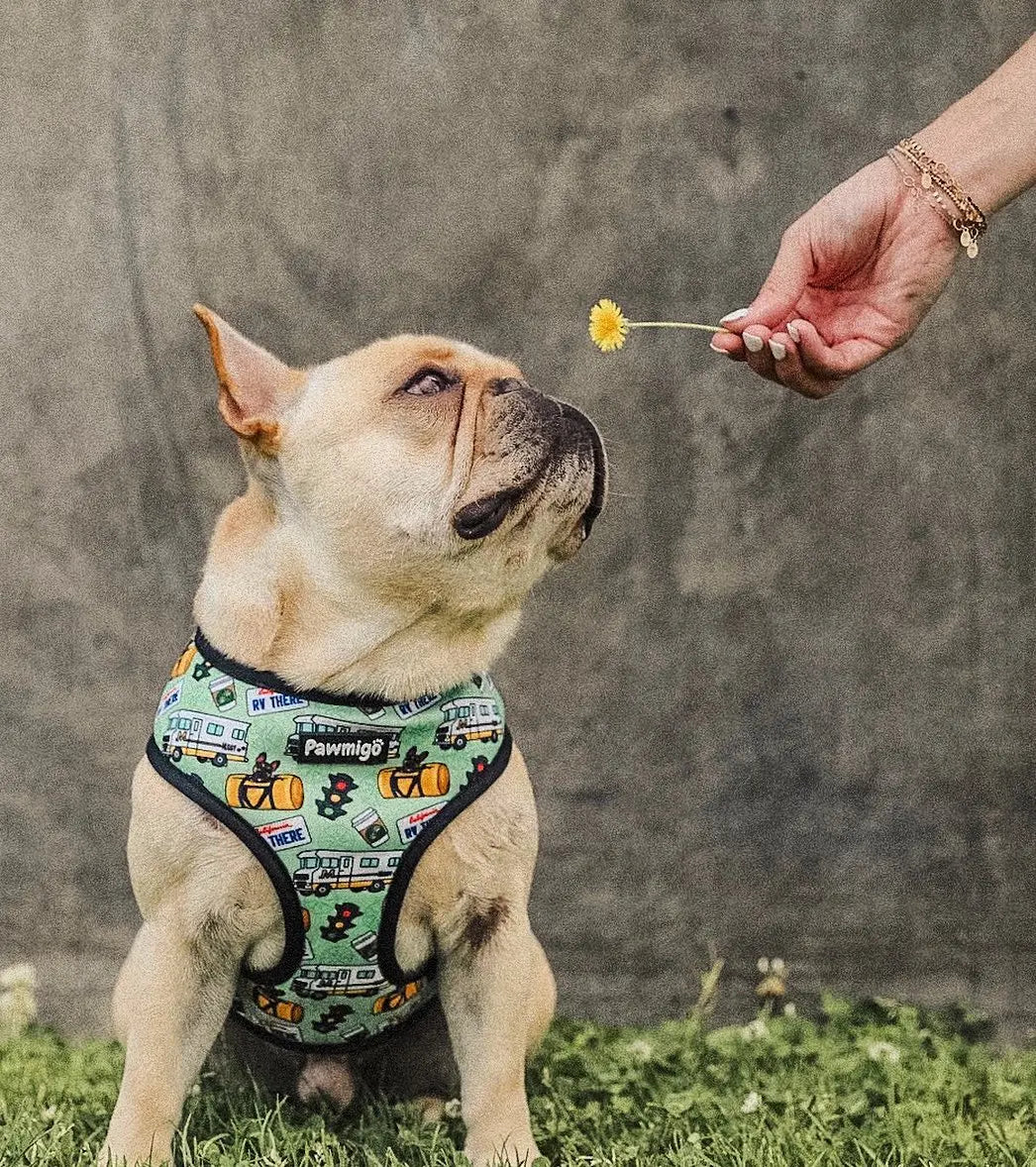 Muddy Paws Reversible Harness Pawmigo