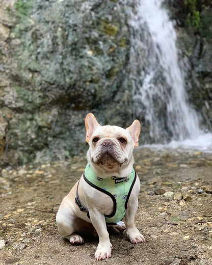 Muddy Paws Reversible Harness Pawmigo