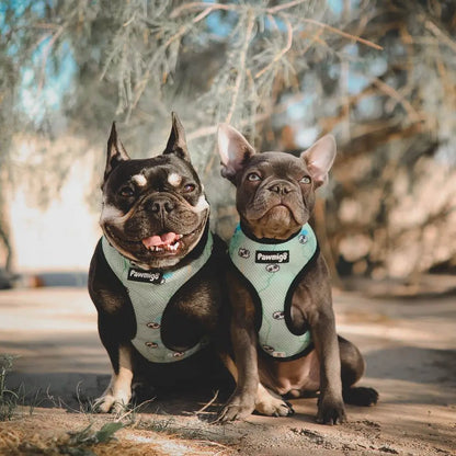 Muddy Paws Reversible Harness Pawmigo
