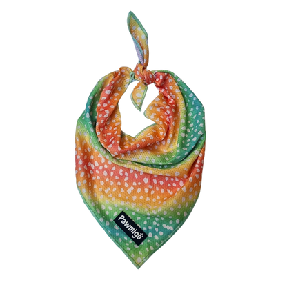 Chasing Rainbows Cooling Bandana Pawmigo