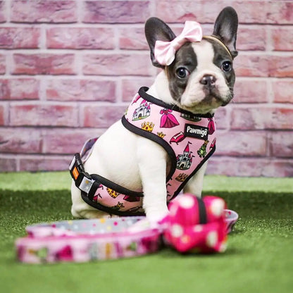 Fairytail Leash Kit Pawmigo