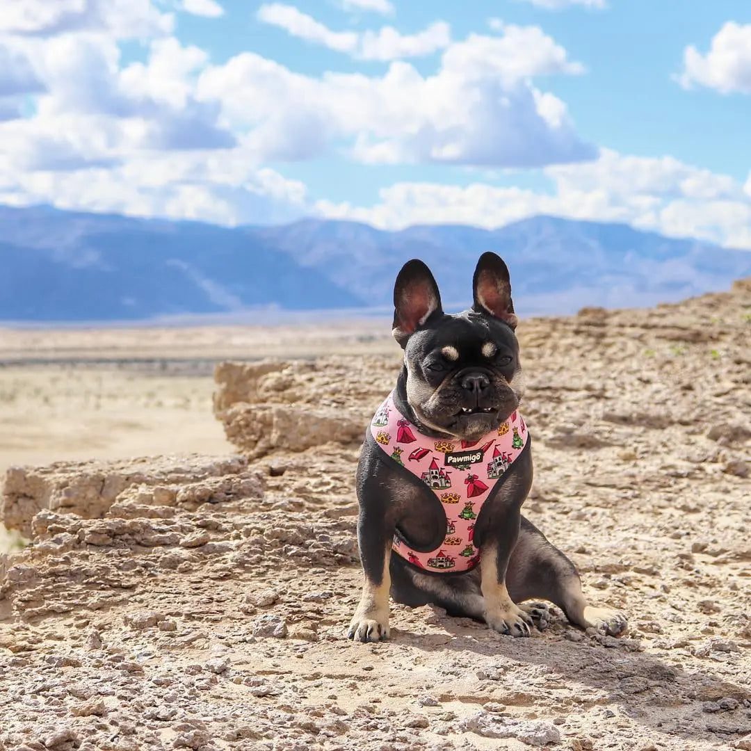 Fairytail Reversible Harness Pawmigo