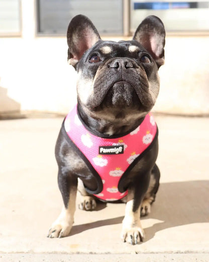 Fairytail Reversible Harness Pawmigo