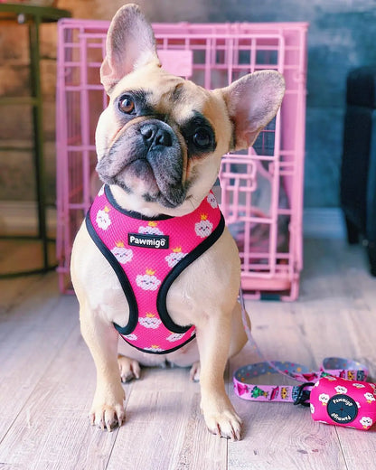 Fairytail Reversible Harness Pawmigo