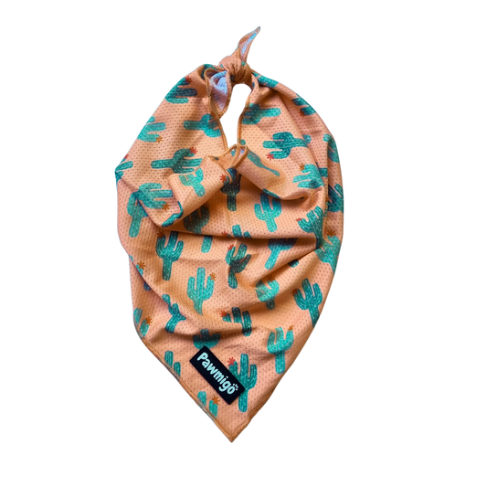 Succa For You Cooling Bandana Pawmigo