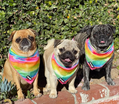 Tie-Dye For Cooling Bandana Pawmigo