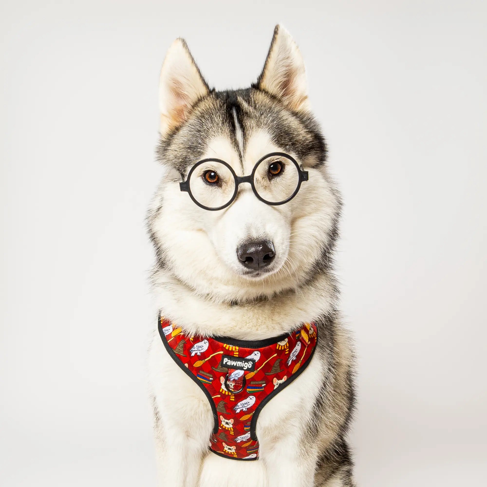 Pawgwarts Everyday Adjustable No-Pull Dog Harness Pawmigo