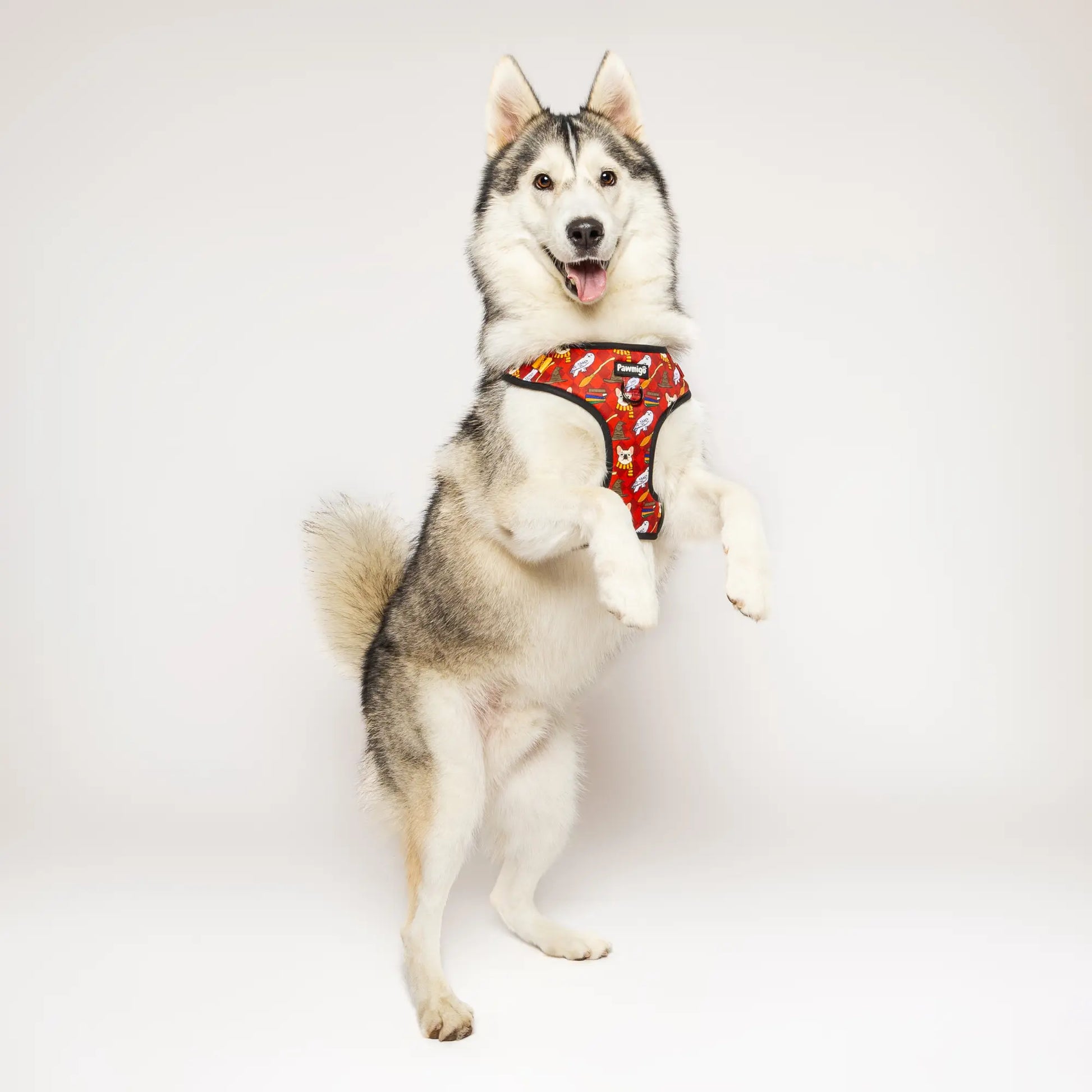 Pawgwarts Everyday Adjustable No-Pull Dog Harness Pawmigo