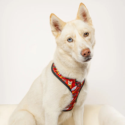 Pawgwarts Everyday Adjustable No-Pull Dog Harness Pawmigo