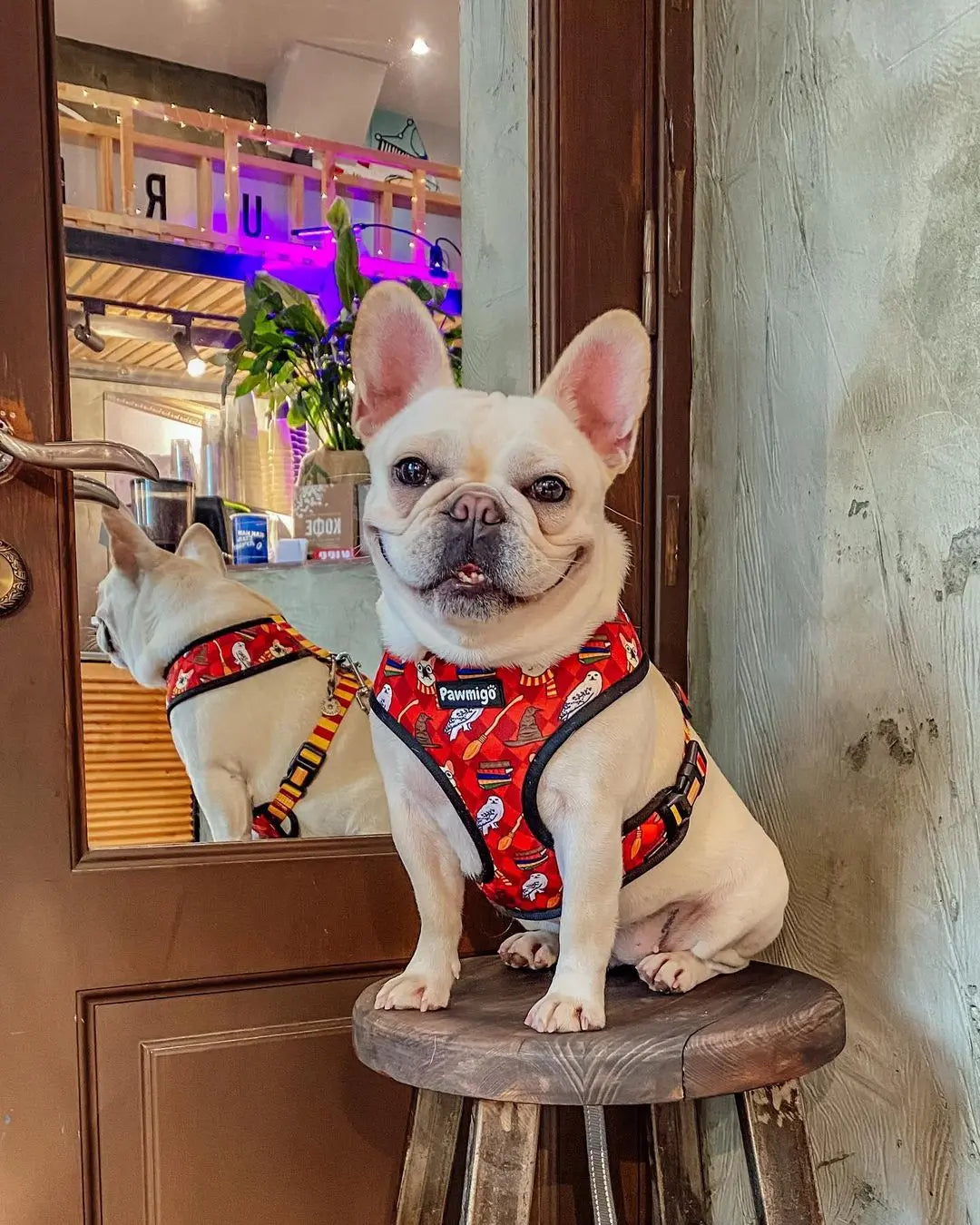 Pawgwarts Reversible Harness Pawmigo