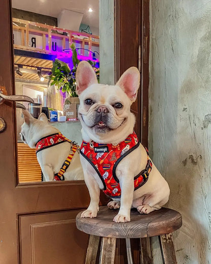 Pawgwarts Reversible Harness Pawmigo
