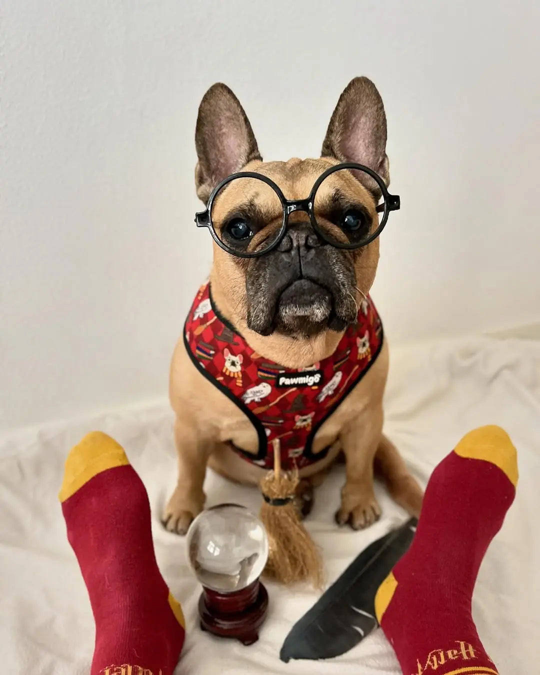 Pawgwarts Reversible Harness Pawmigo