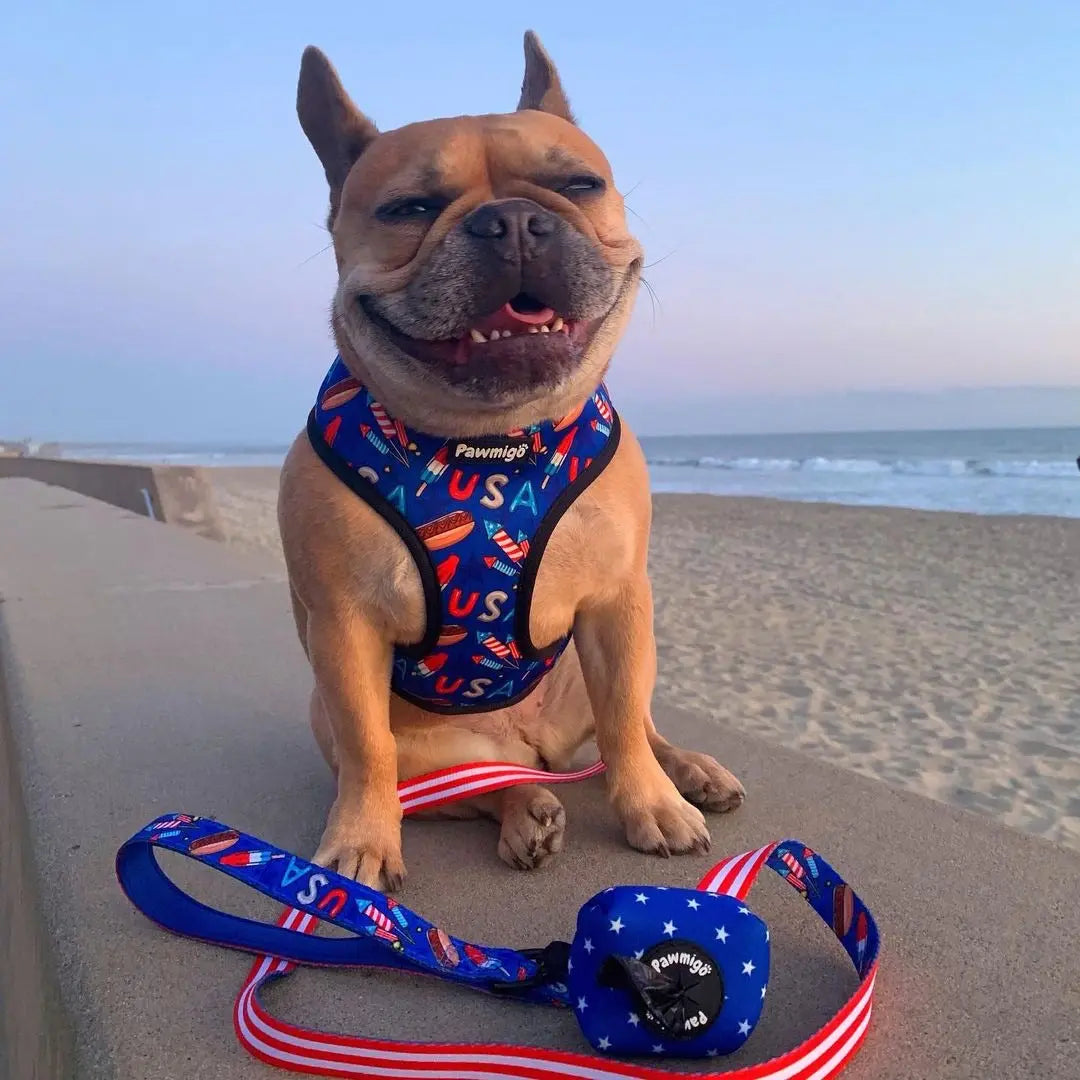 Red, White & Bark Reversible Harness Pawmigo