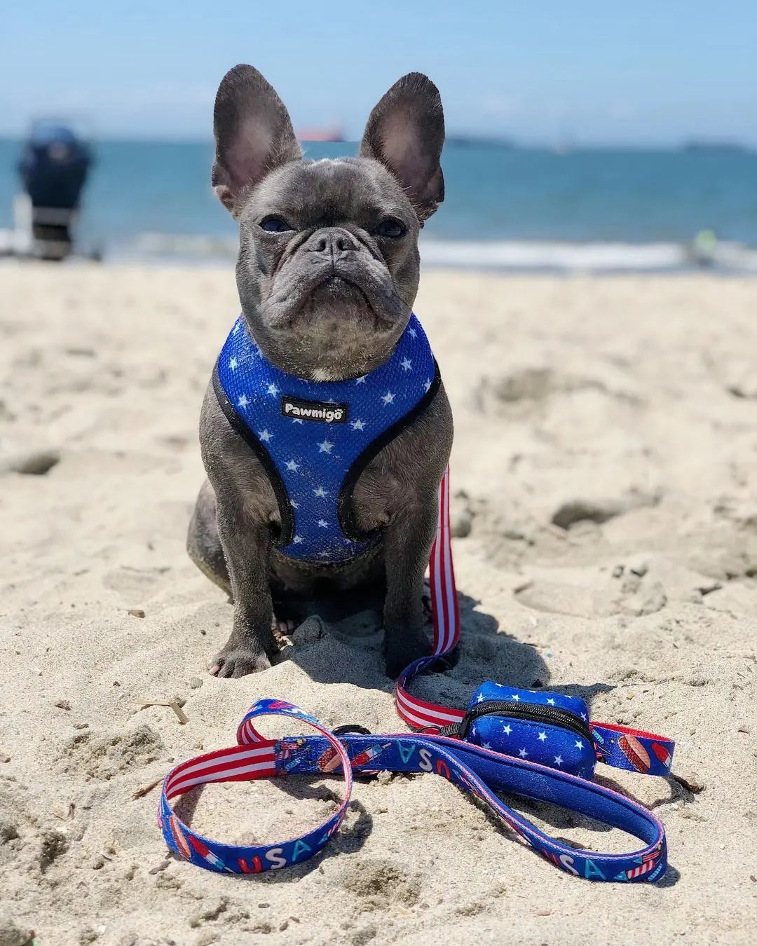 Red, White & Bark Reversible Harness Pawmigo
