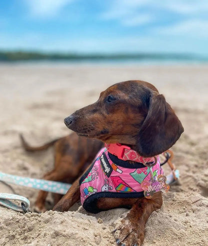 Slumber Pawty Reversible Harness Pawmigo