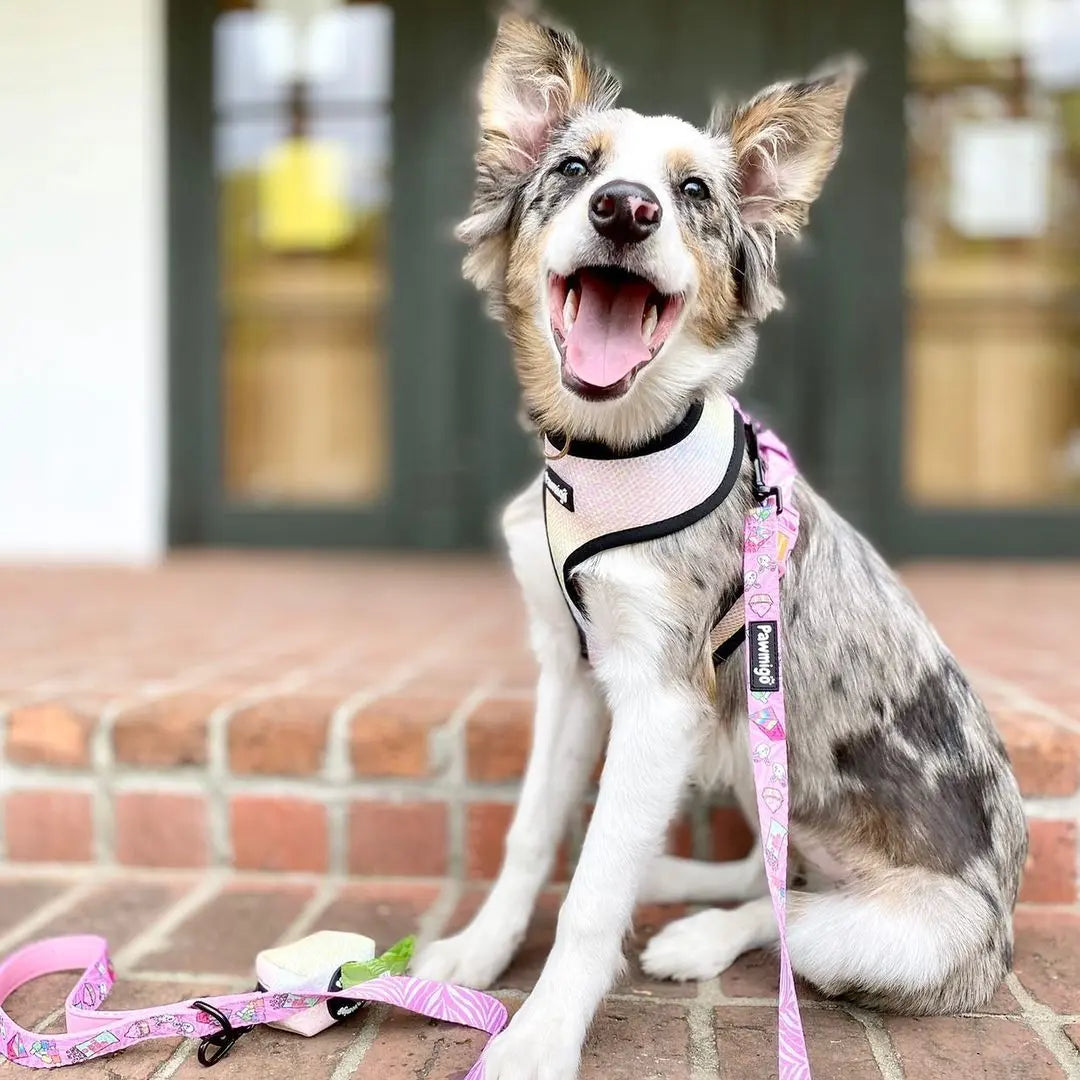 Slumber Pawty Reversible Harness Pawmigo