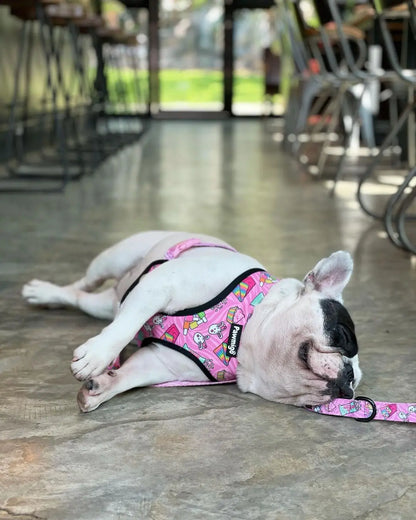 Slumber Pawty Leash Kit Pawmigo